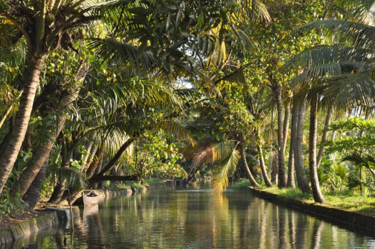 Backwaters del Kerala