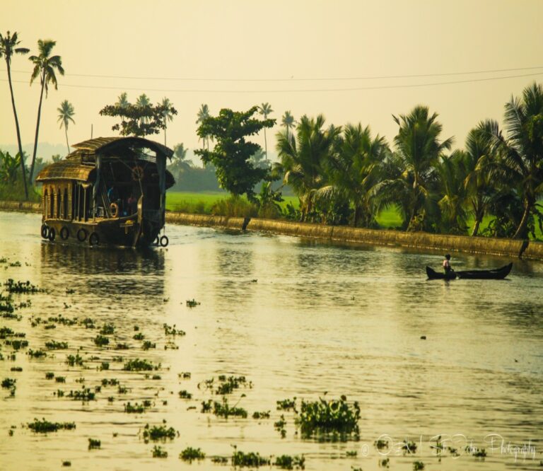 Houseboat sulle backwaters del Kerala