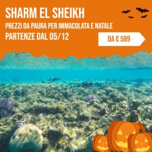 Sharm el Sheikh, Immacolata e Natale, partenze dal 5 dicembre, da 589 euro