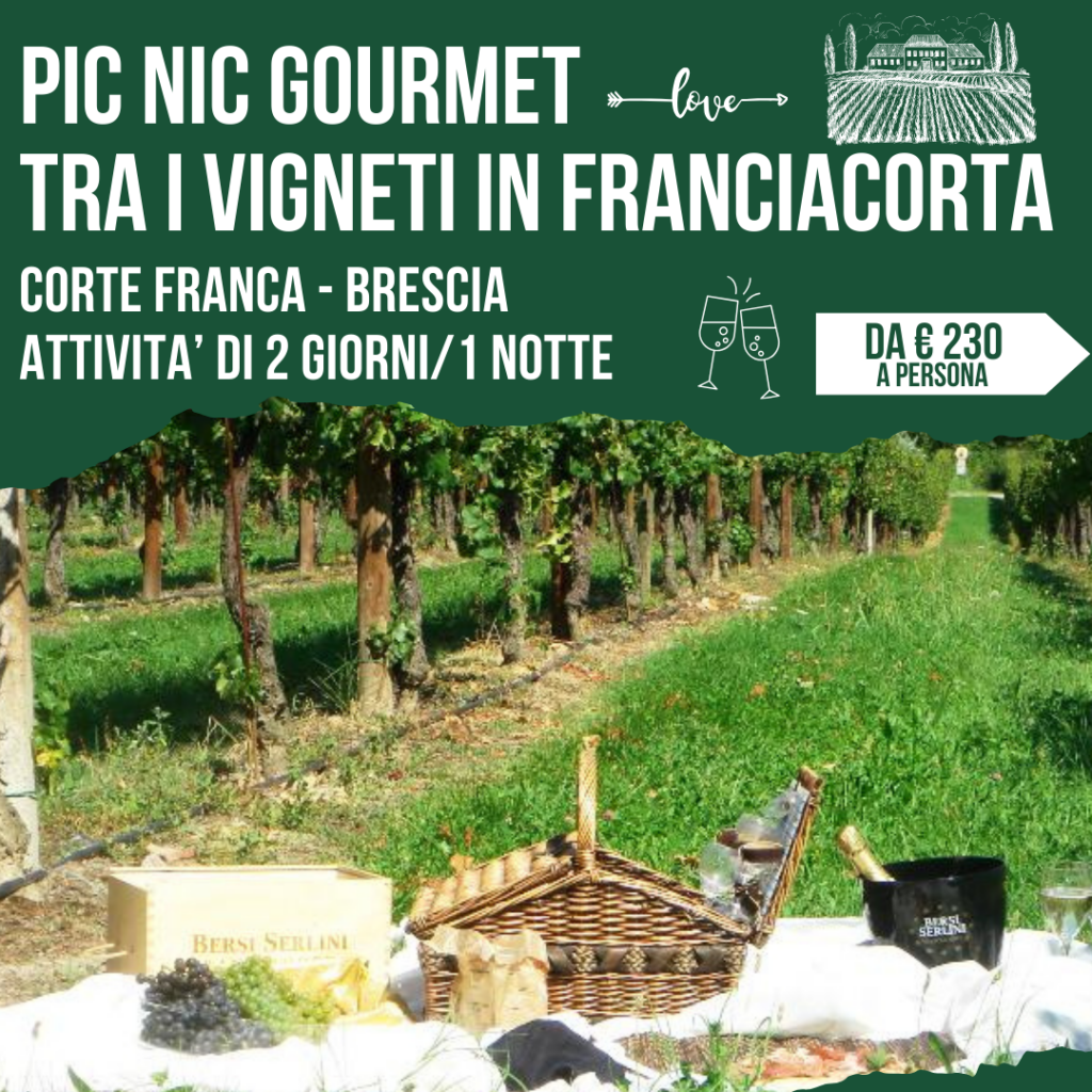 Locandina pic nic gourmet tra i vigneti della Franciacorta, Brescia